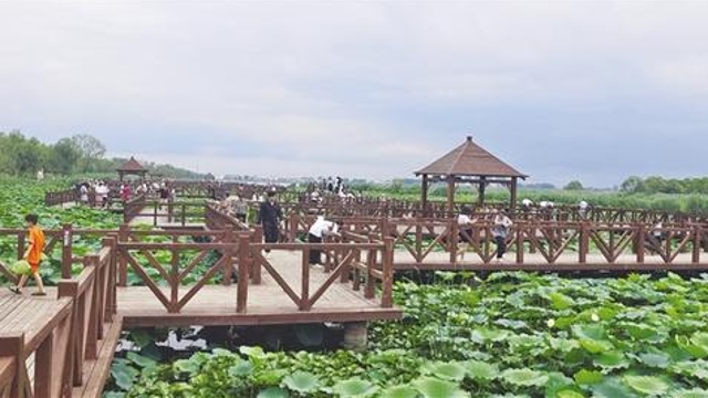 2022淮阳文化旅游消费季开启