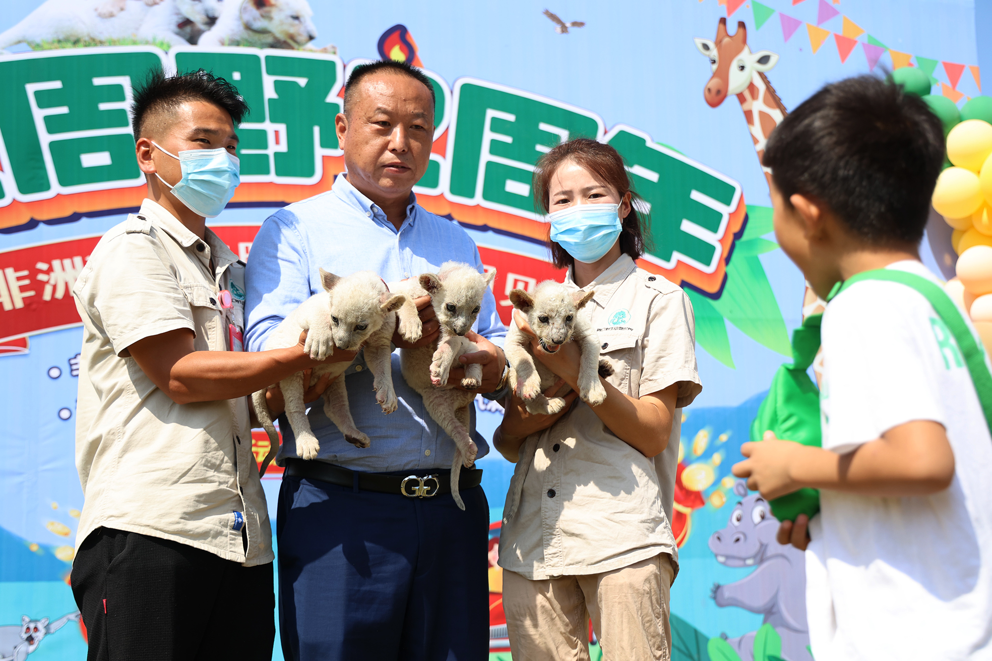 周口：三胞胎小狮子满月了！