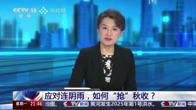 【主流媒体看周口】面对连阴雨 如何“抢”秋收？
