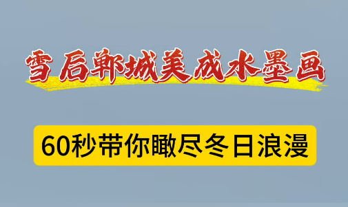 雪后郸城美成水墨画 60秒带你瞰尽冬日浪漫