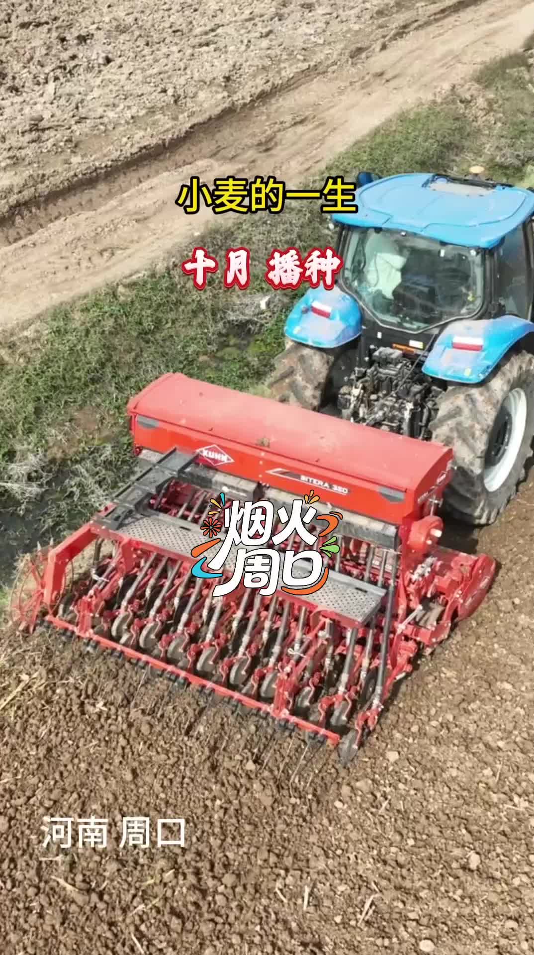 沉浸式感受小麦生长的力量