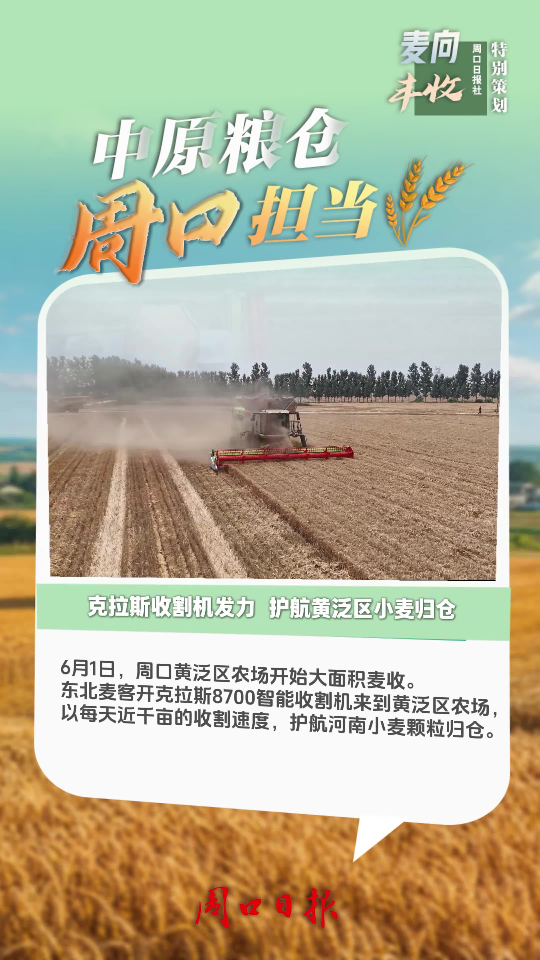 中原粮仓 周口担当