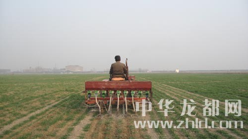 黄泛区农场加紧小麦田间冬季追肥