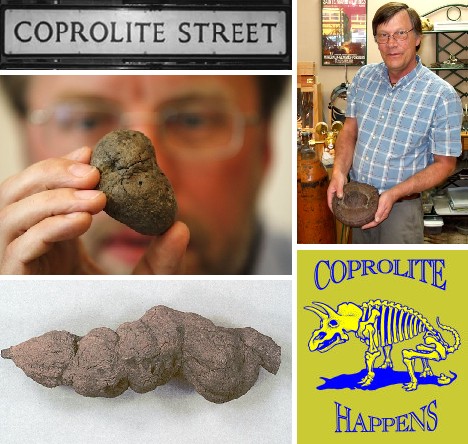 没有臭味的宝贝：揭秘史前粪便化石