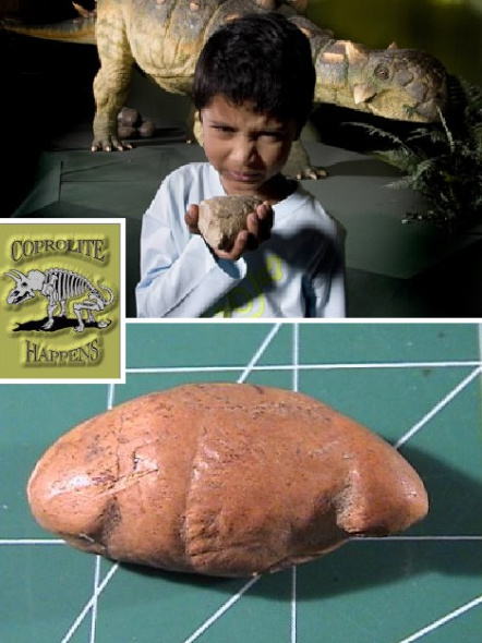 最令古粪便学家感兴趣和着迷的恐怕还要属恐龙粪化石