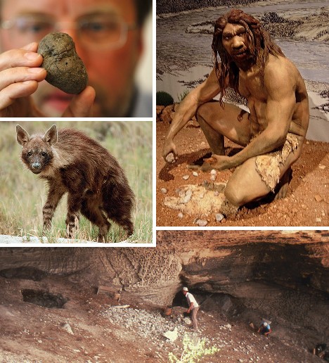 粪化石内发现最古老人类毛发