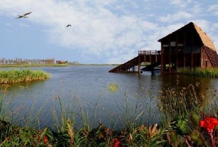 春末夏初去玩水 上海周边自驾看海攻略