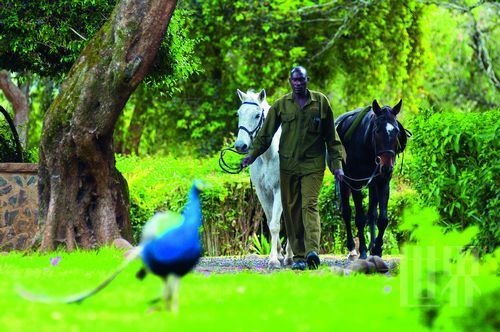 山中野趣乐无穷 山中野趣乐无穷