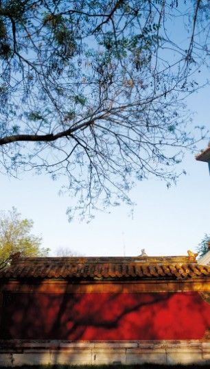 毕业旅行：走进中国古代最高学府国子监