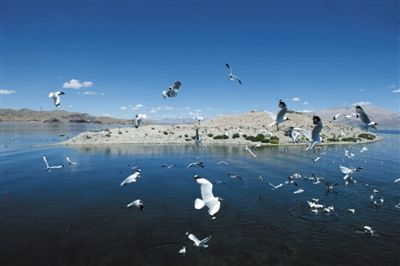 亲近阿里 探秘世界屋脊的屋脊