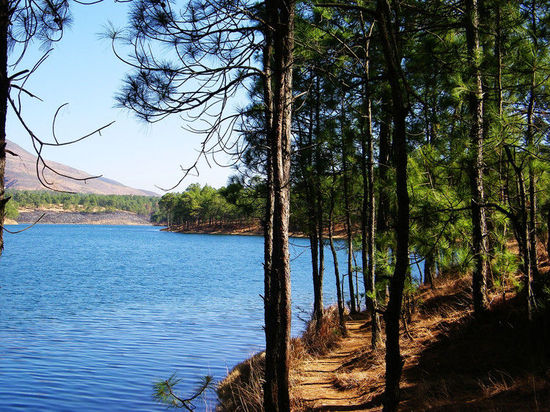 领略西域旅游景点中的“四大美人”