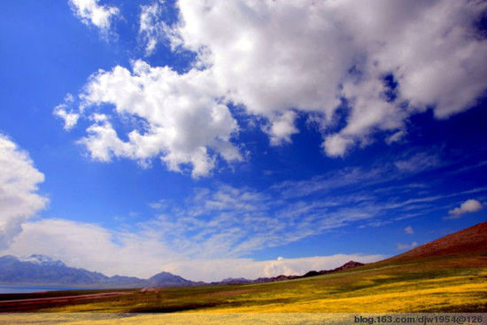 领略西域旅游景点中的“四大美人”