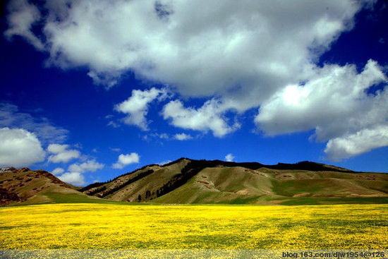 领略西域旅游景点中的“四大美人”