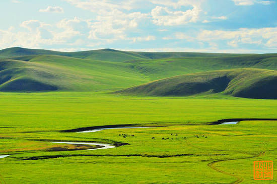 新浪旅游配图:美丽的草原 摄影:北角山妖