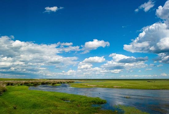 新浪旅游配图:肥沃的土壤 摄影:锈剑