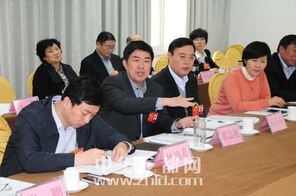 省十二届人大一次会议周口代表团继续审议政府