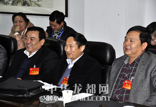 周口市长岳文海出席市政协三届二次会议经济组