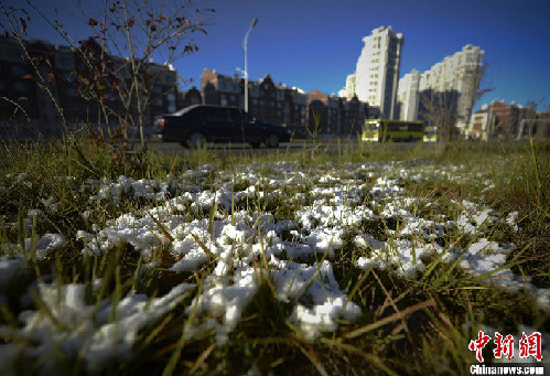 高清：乌鲁木齐迎来2013年入秋首场降雪【2】