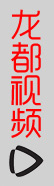 龙都视频