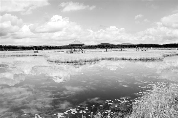 塞罕坝国家森林公园开放时间2023年 7a5d3b5e-1fa9-454c-9913-7302df2f71cb.jpg.1