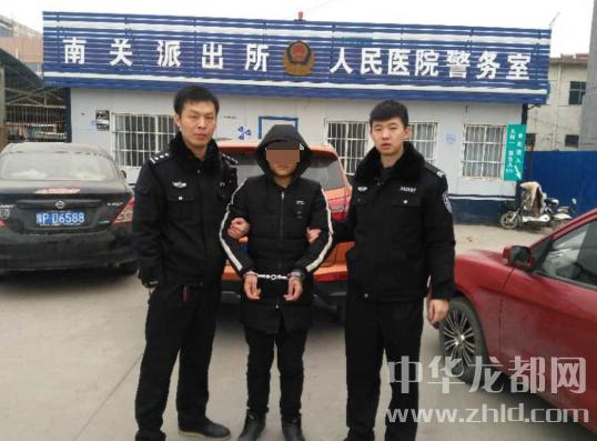 大河报·大河客户端记者 于扬 实习生 王慧星 通讯员 张磊落 文图