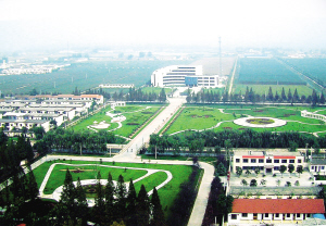 黄泛区农场小城镇建设一角